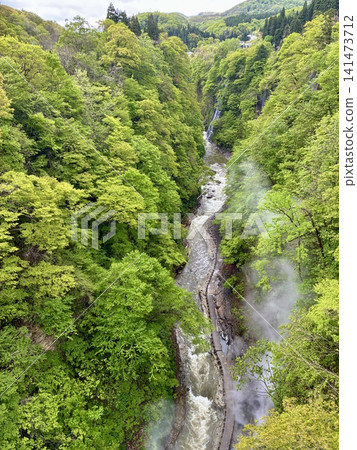從河原湯橋上眺望,小安峽間歇泉掩映在蔥鬱的綠蔭之中。 從河原湯橋上眺望,小安峽間歇泉掩映在蔥鬱的綠蔭之中。 141473712