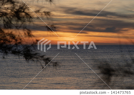 A yacht floats on the sea at dusk, with the silhouettes of trees and plants in the foreground. A yacht floats on the sea at dusk, with the silhouettes of trees and plants in the foreground. 141473765