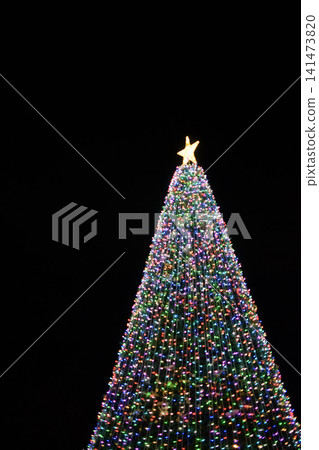 Illuminations with a view of the Christmas tree Illuminations with a view of the Christmas tree 141473820