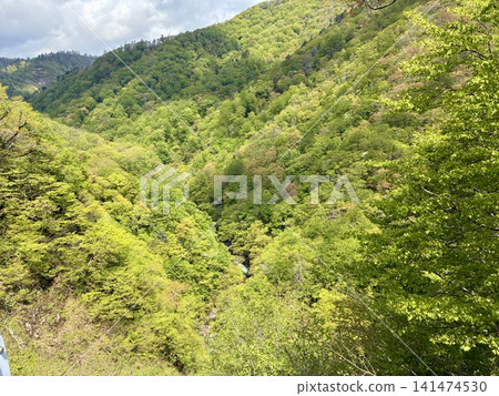 A deep valley along National Route 342 141474530