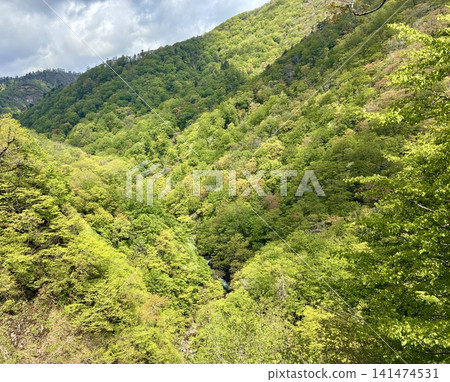 A deep valley along National Route 342 141474531