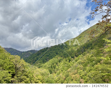 A deep valley along National Route 342 A deep valley along National Route 342 141474532