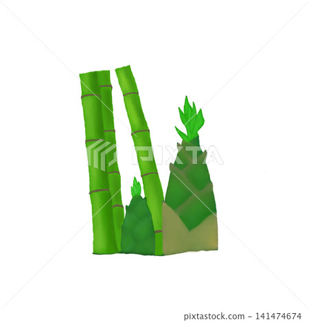 Hand drawn green bamboo stalks and fresh bamboo shoots illustration isolated on white background Hand drawn green bamboo stalks and fresh bamboo shoots illustration isolated on white background 141474674