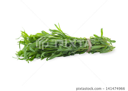 Fresh tarragon bundle showcases vibrant green leaves and aromatic scent, PNG 141474966