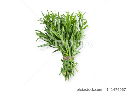 Fresh tarragon is neatly bundled, showcasing green leaves and vibrant color, PNG Fresh tarragon is neatly bundled, showcasing green leaves and vibrant color, PNG 141474967