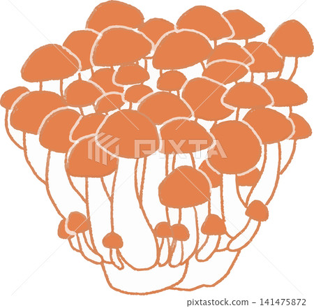 可愛、手繪、單色、簡單的姬松茸(蘑菇、蔬菜、日式、印章風格)插圖 可愛、手繪、單色、簡單的姬松茸(蘑菇、蔬菜、日式、印章風格)插圖 141475872