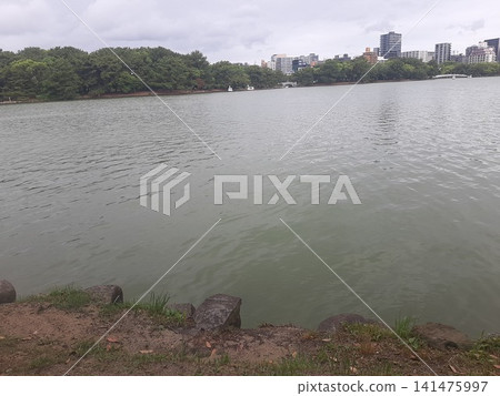 颱風導致河流氾濫 颱風導致河流氾濫 141475997