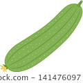 Vector illustration of a green loofah fruit Vector illustration of a green loofah fruit 141476097