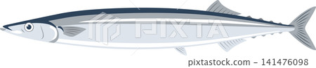 Vector illustration of saury, a taste of autumn. Vector illustration of saury, a taste of autumn. 141476098