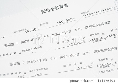 Stock dividend statement Stock dividend statement 141476193
