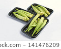 Salad okra (white okra) 141476209
