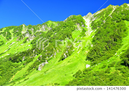 View of Nishihotakazawa/the area around Mount Nishihotaka [July 2026] 141476300