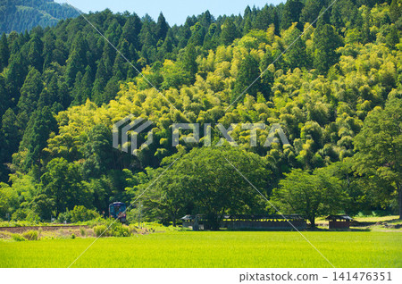 一列當地火車在酷熱中疾馳 141476351