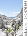 On a clear day, the white limestone and sea stretch out across Shirasaki Coast. 141476466