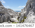The magnificent scenery of Shirasaki Coast, woven from chalky limestone. 141476467