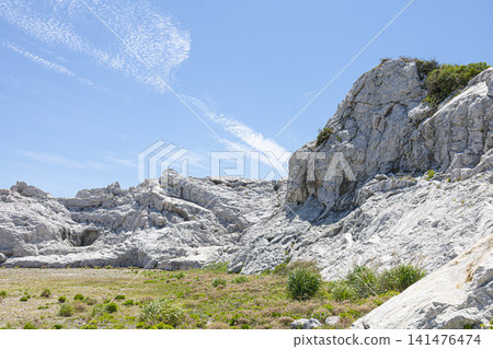 在湛藍的天空下,白崎海岸的石灰岩地形和自然景觀展現出勃勃生機。 在湛藍的天空下,白崎海岸的石灰岩地形和自然景觀展現出勃勃生機。 141476474