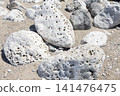 Texture material of perforated limestone rocks and coastline lined up on a sandy beach 141476475