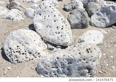 Texture material of perforated limestone rocks and coastline lined up on a sandy beach Texture material of perforated limestone rocks and coastline lined up on a sandy beach 141476475