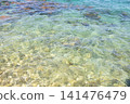 Beautiful, clear shallow sea surface texture 141476479