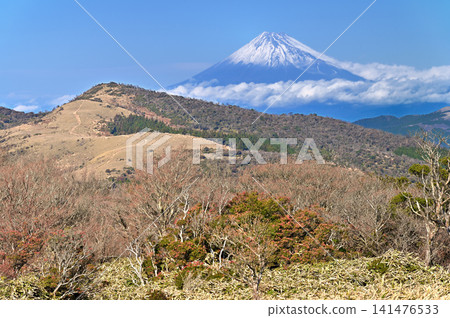 初冬時節，從伊豆半島伊豆山脊步道上的風早峠高地眺望富士山。 141476533