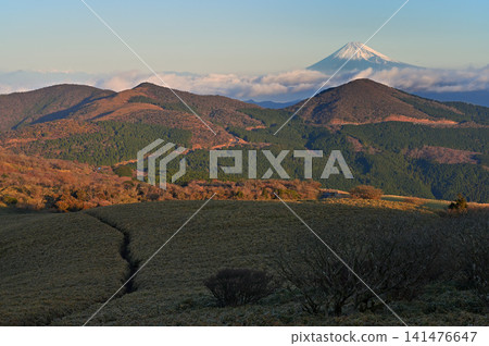 伊豆半島仁名峠展望台:清晨的陽光照耀著伊豆山脊步道和富士山。 伊豆半島仁名峠展望台:清晨的陽光照耀著伊豆山脊步道和富士山。 141476647