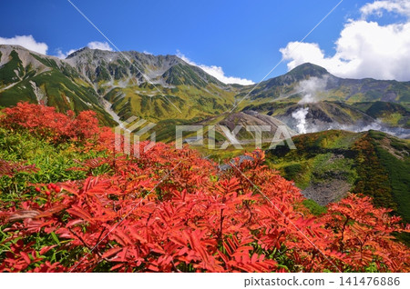 賴鳥澤和立山山脈的秋葉 賴鳥澤和立山山脈的秋葉 141476886