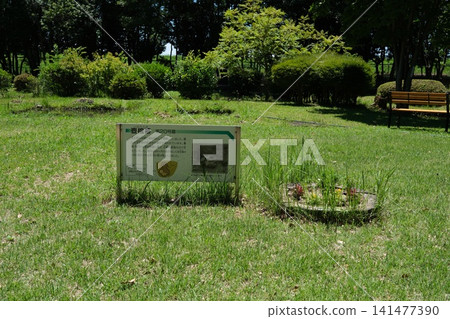 尼崎田野遺址20號墓(陶罐墓)的說明牌。 尼崎田野遺址20號墓(陶罐墓)的說明牌。 141477390