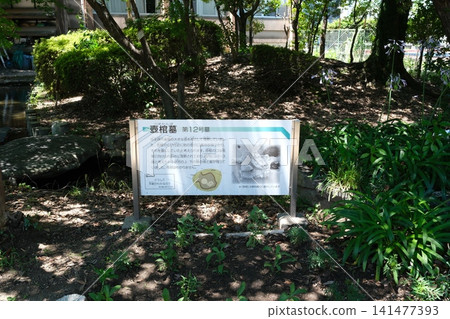塔諾考古遺址12號墓(陶罐墓)的說明牌。 塔諾考古遺址12號墓(陶罐墓)的說明牌。 141477393