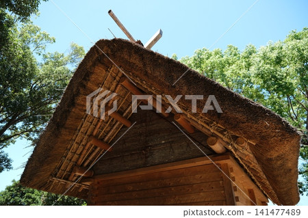 Thatched roof and chigi (ornamental roof finials) of the reconstructed raised-floor warehouse at the Tano ruins. Thatched roof and chigi (ornamental roof finials) of the reconstructed raised-floor warehouse at the Tano ruins. 141477489