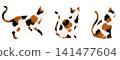 Cat material set (transparent) 141477604
