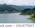 大壩湖泊和鬱鬱蔥蔥的森林在萬物復甦的季節裡景色宜人。 141477607