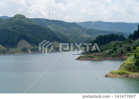 大壩湖泊和鬱鬱蔥蔥的森林在萬物復甦的季節裡景色宜人。 141477607