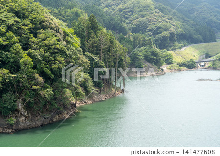 The dam lake and lush forest scenery in the season of fresh greenery. The dam lake and lush forest scenery in the season of fresh greenery. 141477608