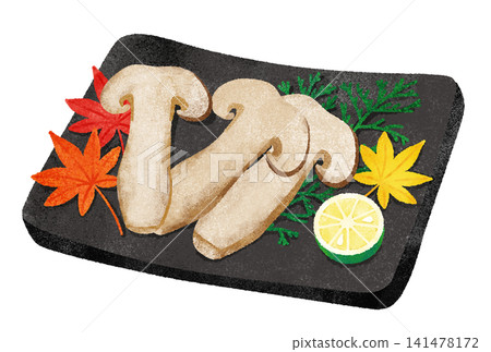 Watercolor illustration of grilled matsutake mushrooms and sudachi citrus. Watercolor illustration of grilled matsutake mushrooms and sudachi citrus. 141478172