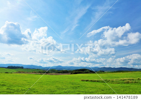 北海道夏日藍天與清新綠草甸風光 141478189