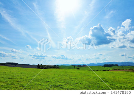 北海道夏天藍天和Biei風景 北海道夏天藍天和Biei風景 141478190
