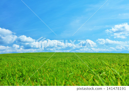 北海道夏日藍天與清新綠草甸風光 北海道夏日藍天與清新綠草甸風光 141478191