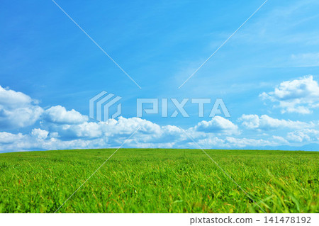 北海道夏日藍天與清新綠草甸風光 北海道夏日藍天與清新綠草甸風光 141478192