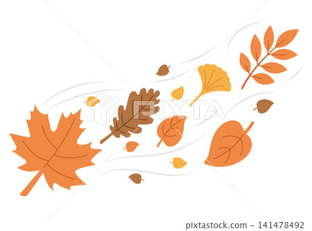 Autumn Leaves Blowing in the Wind with Maple, Oak, Ginkgo and Botanical Branches, Warm Seasonal Foliage Composition for Fall Banner, Thanksgiving Background, Harvest Poster and Nature Design Autumn Leaves Blowing in the Wind with Maple, Oak, Ginkgo and Botanical Branches, Warm Seasonal Foliage Composition for Fall Banner, Thanksgiving Background, Harvest Poster and Nature Design 141478492
