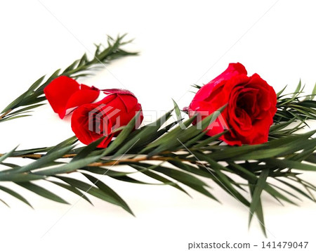 Preserved flowers of red roses and green tea trees 01 141479047