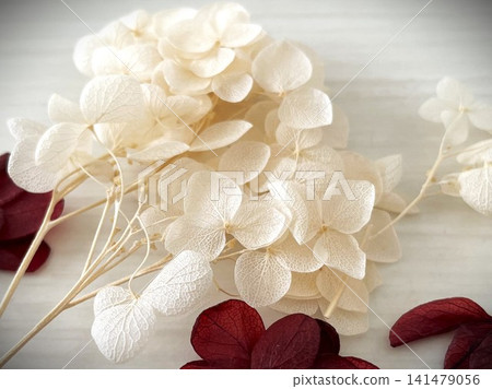 10 preserved hydrangea flowers in baby pink and wine red 10 preserved hydrangea flowers in baby pink and wine red 141479056