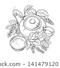 Schisandra Tea in Teapot Outline Illustration. 141479120