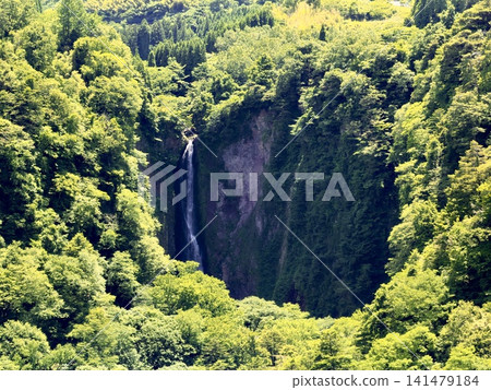 九重夢吊橋是日本最高的行人吊橋,橫跨大分縣九重町的鳴小川峽谷。 九重夢吊橋是日本最高的行人吊橋,橫跨大分縣九重町的鳴小川峽谷。 141479184
