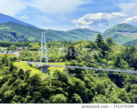 The Kokonoe Yume Suspension Bridge, the tallest pedestrian suspension bridge in Japan, spans the Narukogawa Gorge in Kokonoe Town, Oita Prefecture. The Kokonoe Yume Suspension Bridge, the tallest pedestrian suspension bridge in Japan, spans the Narukogawa Gorge in Kokonoe Town, Oita Prefecture. 141479194