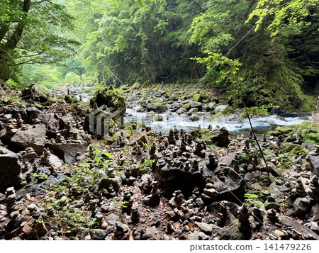宮崎縣高千穗町天安須賀原遍布堆積的石頭和鳥居。 宮崎縣高千穗町天安須賀原遍布堆積的石頭和鳥居。 141479226
