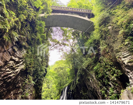 The Manai Falls and the magnificent columnar jointed gorge scenery can be seen in Takachiho Gorge in Takachiho Town, Miyazaki Prefecture. 141479671