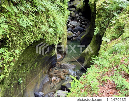 The Manai Falls and the magnificent columnar jointed gorge scenery can be seen in Takachiho Gorge in Takachiho Town, Miyazaki Prefecture. The Manai Falls and the magnificent columnar jointed gorge scenery can be seen in Takachiho Gorge in Takachiho Town, Miyazaki Prefecture. 141479685