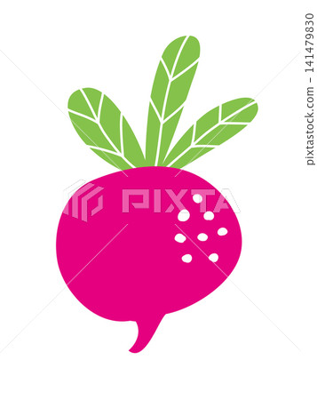 Illustration of a simple radish Illustration of a simple radish 141479830
