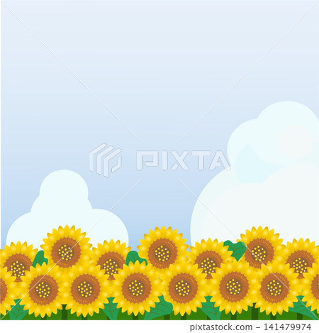 A summer background illustration featuring sunflowers floating in the summer sky. A summer background illustration featuring sunflowers floating in the summer sky. 141479974