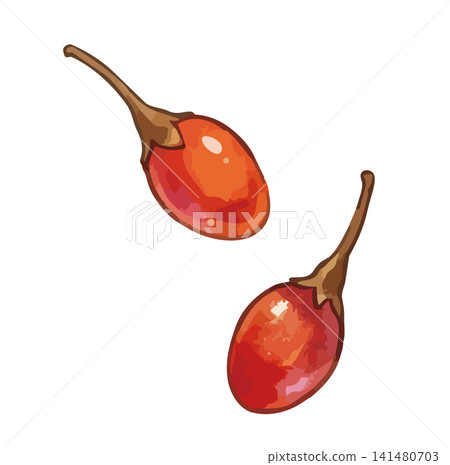 A mouthwatering illustration of goji berries. A mouthwatering illustration of goji berries. 141480703